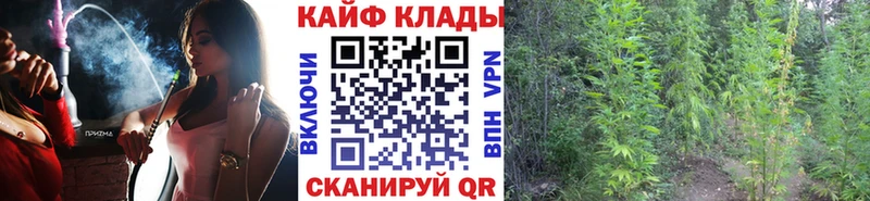 A PVP Назарово