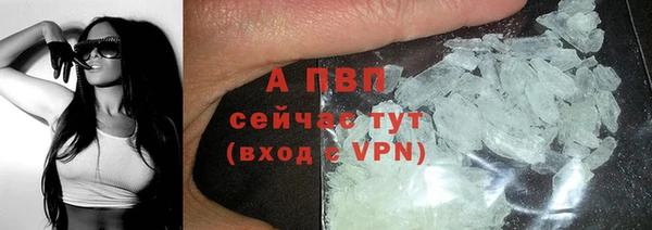 сатива Верхний Тагил