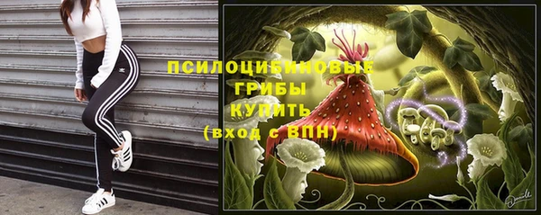 бошки Верея