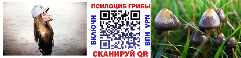 купить Назарово Псилоцибиновые грибы ЛСД